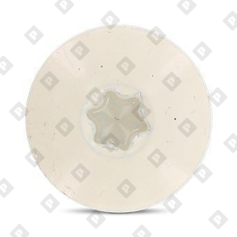 Art. 9086 A2 4,8X25 TX20  RAL 1013 - №3