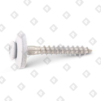 Art. 9087 A2 4,5X100 TX20 - RAL 9010 - №2