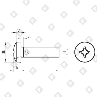 Винт DIN 7985 M6x10 с полуцилиндрической головкой и крестовым шлицем PH, кл. пр. 4.8, оц. сталь - №2
